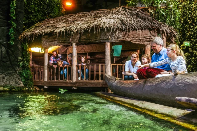 Nachmittagsticket ab 15:00 Uhr (nicht für Schulklassen und Gruppen)