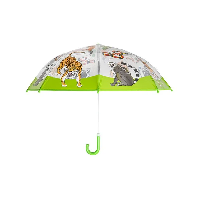 Regenschirm Regenwald