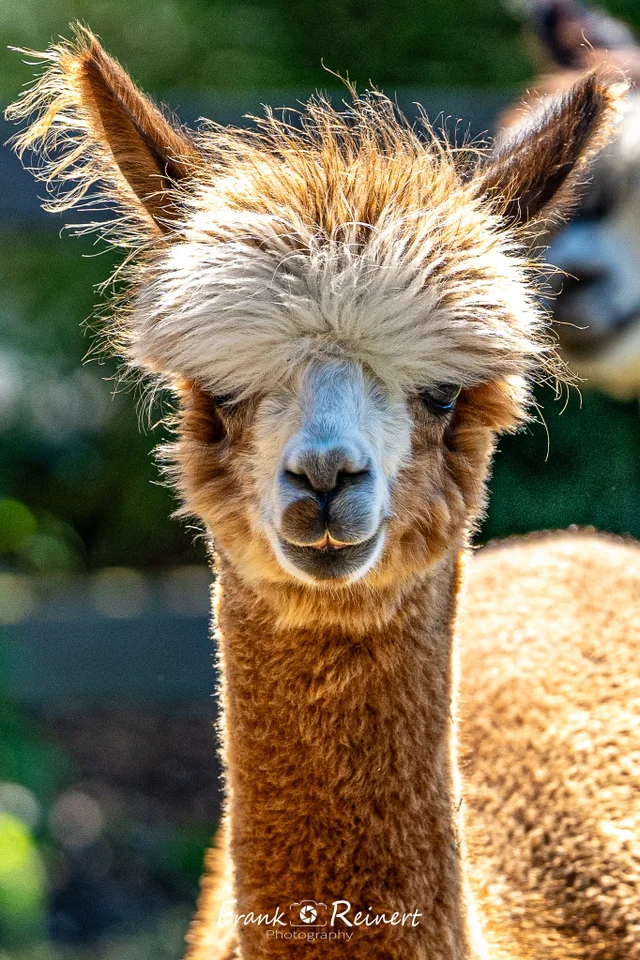 Patenschaft Ralf