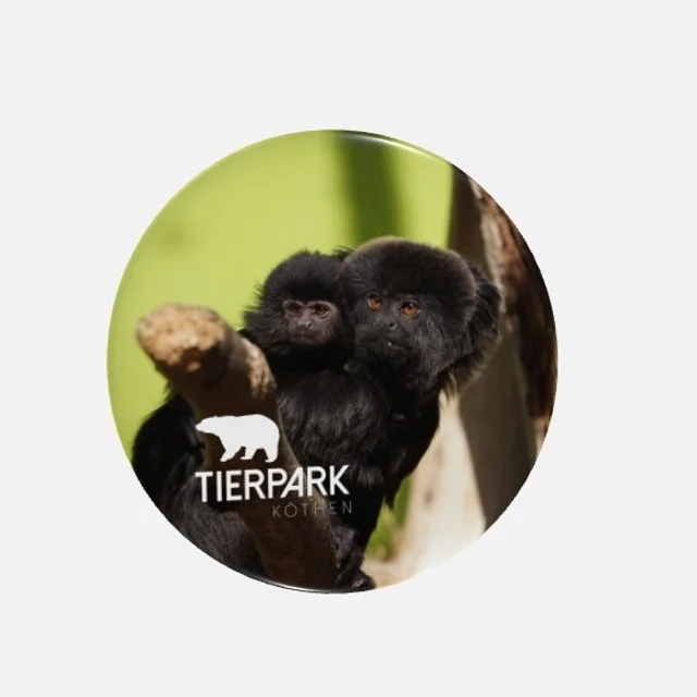 Magnet Springtamarin
