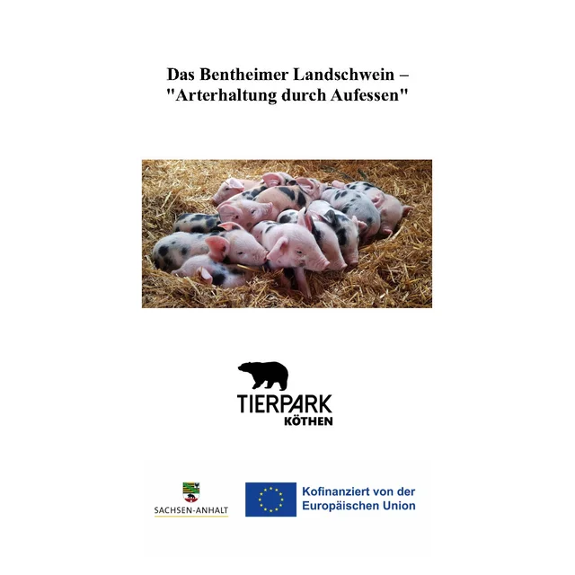 Das Bentheimer Landschwein – Arterhaltung durch Aufessen