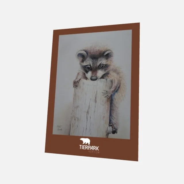 Postkarte Waschbär inklusive Versand
