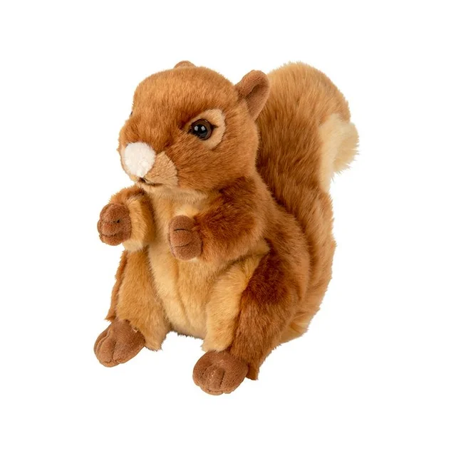 Plan M Eichhörnchen