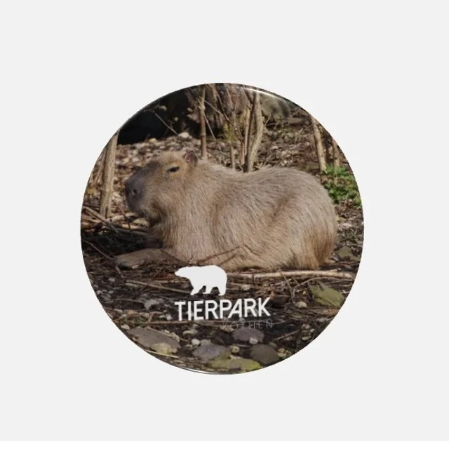 Magnet Capybara