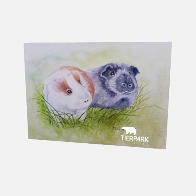 Postkarte Meerschweinchen inklusive Versand
