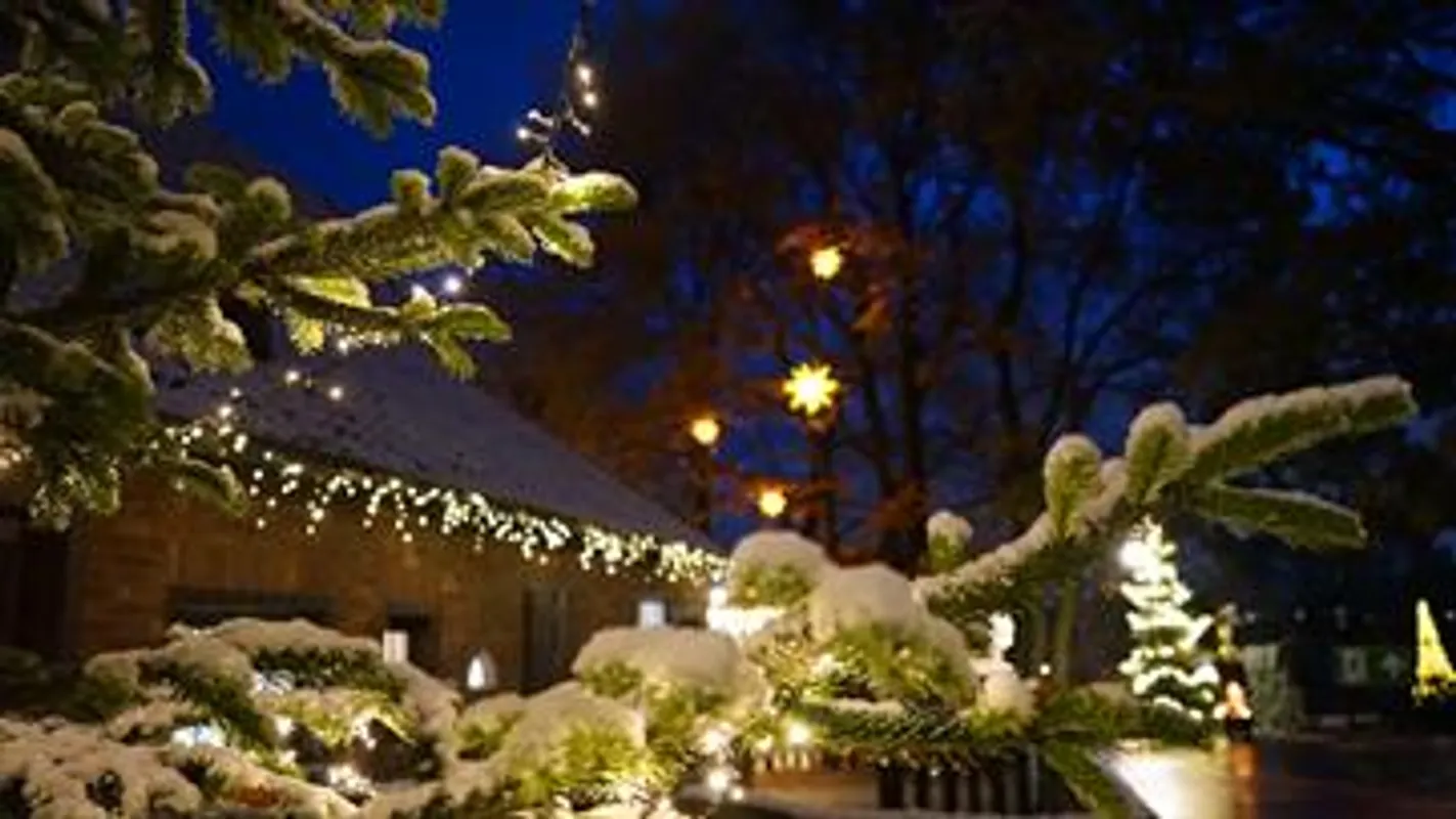 Weihnachtsmarkt Exklusiv am 11.12.2026