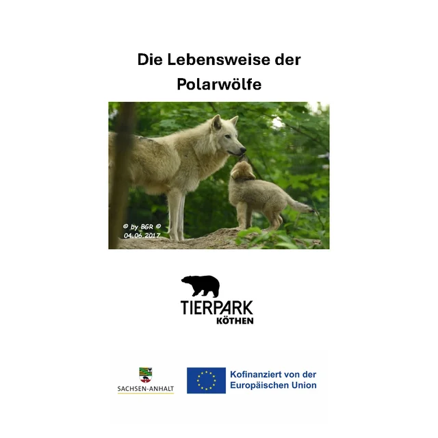 Die Lebensweise der Polarwölfe